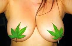 cannabis tits